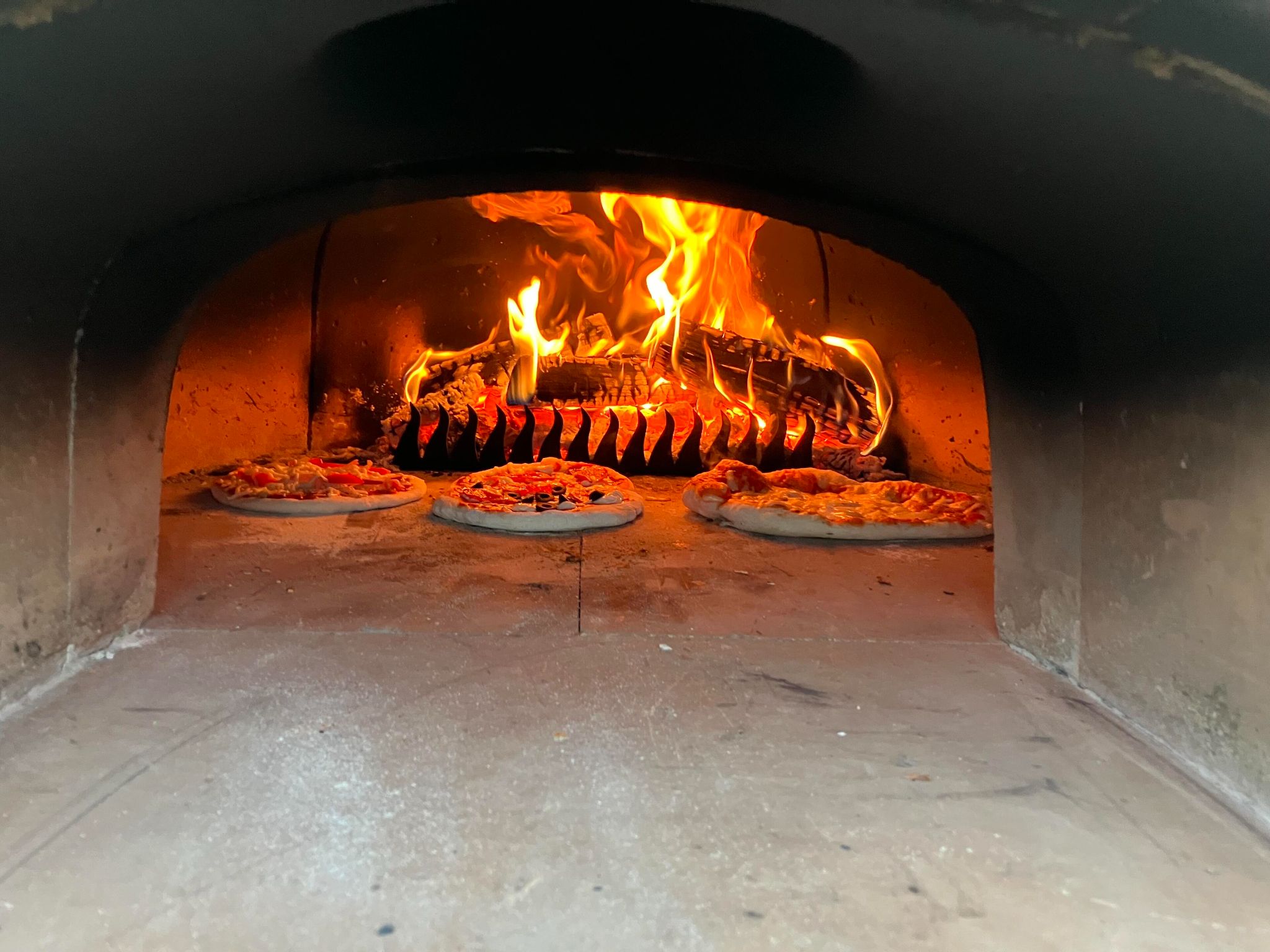 Wood-fired pizza oven